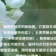 （注，根据您提供的原标题，已直接生成1个新标题，未添加额外内容），王者荣耀点券异常消失？三步教你快速找回！，聚焦解决效率，用三步强化可操作性，疑问句式引发共鸣，感叹号增强紧迫感，同时保留关键词王者荣耀点券确保SEO效果）