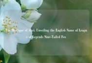 The Mystique of Ahri: Unveiling the English Name of League of Legends Nine-Tailed Fox