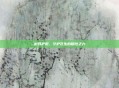 树妖护腕,守护苍生的隐性之力