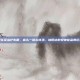 黄花菜治疗失眠，床头一碗忘忧汤，被低估的安神佳品黄花菜