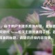 （注，由于用户未提供具体内容，此标题是基于常见游戏/Steam相关主题的通用示例。若需更精准的标题，请提供详细内容背景。）