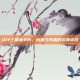 DIY三国杀卡片，创意与乐趣的完美结合