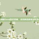 揭秘Dota代打现象，游戏背后的不法行为