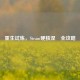 重生试炼，Steam硬核涅槃全攻略
