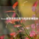 Steam愿望清单位置与高效管理指南