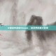 R星宣布登陆Steam，游戏界的重大变革