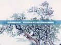 流星蝴蝶剑秘籍，传统武侠精神与现代创新融合的探索