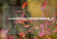 CSGO五排高效组队与团队默契提升指南