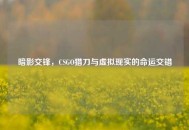暗影交锋，CSGO猎刀与虚拟现实的命运交错