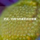 逆战，科技与热血的次元碰撞