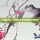 三国杀OL，策略与视觉盛宴的完美融合