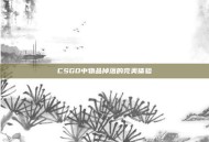 CSGO中物品掉落的完美体验