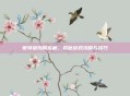 蒙特祖玛的宝藏，揭秘游戏攻略与技巧