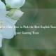 Peace Elite Club: How to Pick the Best English Name for Your Gaming Team