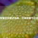 王者荣耀皮肤赠送指南，详细步骤与注意事项