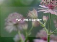 逆战，淬炼生命的锋芒