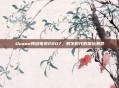 Uusee网络电视2007，数字时代的娱乐革命