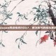 Uusee网络电视2007，数字时代的娱乐革命