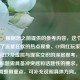 （注，根据您之前提供的参考内容，这个标题融合了流量狂欢的热点现象、CF网红玩家的群体特征以及虚拟与现实交织的深层思考，符合您对标题需具备冲突感和话题性的要求。如需调整侧重点，可补充说明具体方向。）