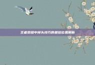 王者荣耀中掉头技巧的最佳位置解析