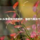 PUBG头像模糊问题解析，原因与解决方案
