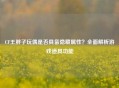 CF王胖子玩偶是否具备隐藏属性？全面解析游戏道具功能