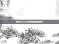 揭秘Tech48存档的神秘世界