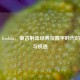 Steam Grobda，复古射击经典在数字时代的重生与机遇