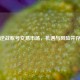 逆战账号交易市场，机遇与风险并存