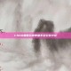 CSGO国服玩家数量不足引发讨论