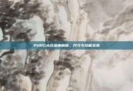 PUBG大仓深度解析，尺寸与功能全览