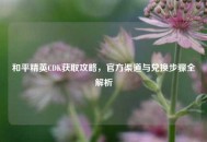 和平精英CDK获取攻略，官方渠道与兑换步骤全解析
