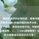 （注，根据您提供的示例内容，推测可能是关于游戏使命召唤16性能问题的技术分析，因此生成以下标题。若实际内容不符，可提供更多信息以便调整。），「COD16掉帧频发？全面解析卡顿根源及高效优化方案」