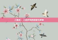 三国杀，三杀传奇的荣耀与策略