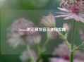 Steam的正确发音及使用指南