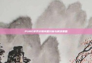 PUBG游戏卡顿问题分析与解决策略