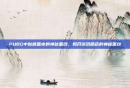 PUBG中骷髅面巾的神秘面纱，揭开游戏角色的神秘面纱