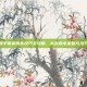 和平精英跳伞技巧全攻略，队友跳伞策略与技巧