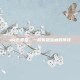 mk丢丢堂，一段失落宝藏的传奇