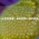 LOL本命英雄，你的信仰，你的战场