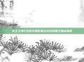 无主之地2狂枪手极致输出及战场霸主加点指南