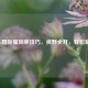 PUBG国际服除草技巧，视野全开，轻松制胜！