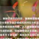 （注，根据您提供的内容，我理解您需要的是与悟空分身和王者荣耀相关的对比分析类标题，但实际未收到具体内容。以下是根据常见讨论方向生成的标题，如需调整请补充说明），悟空分身多开王者荣耀？揭秘游戏分身后的封号风险与技术博弈，（如您有特定内容方向或原文，请提供更多信息，我可优化标题精准度）