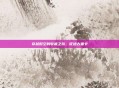 穿越时空的收藏之旅，征途古董卡