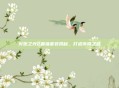 火炬之光2最强套装揭秘，打造传奇之路