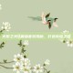 火炬之光2最强套装揭秘，打造传奇之路
