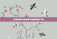 王者荣耀后期伤害不足的原因分析