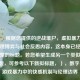 （注，根据您提供的逆战堆尸，虚拟暴力背后的心理博弈与社会反思内容，这本身已经是一个完整的标题。若您希望生成另一个类似主题的标题，可参考以下新拟标题，），数字尸骸，游戏暴力中的快感机制与伦理边界