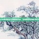 Steam游戏购买与卸载的艺术，掌握数字游戏世界的平衡