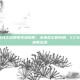 ez未来战士召唤师生涯旗帜，未来战士的旗帜，EZ与我的召唤师生涯